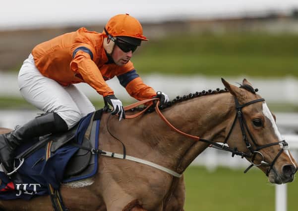 Jedd O'Keeffe's Sam Spinner is due to reappear at Newbury tomorrow.