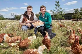 Free range hens cost farmers significantly more to keep as they need large outdoor woodland and grassland areas