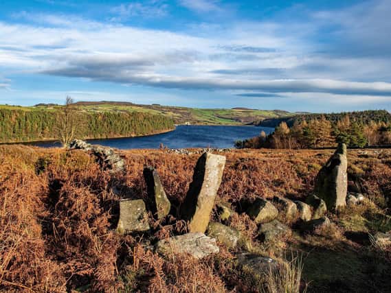 The ruins of North America Farm above Langsett Reservoir.
Picture: Bruce Rollinson. Technical details: Nikon D4, 24mm lens, 1/400 sec, f/9, ISO 320.
