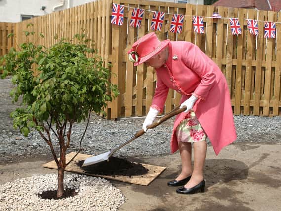 People across the UK are to be invited to plant a tree for the Queen's Platinum Jubilee. PIC: PA