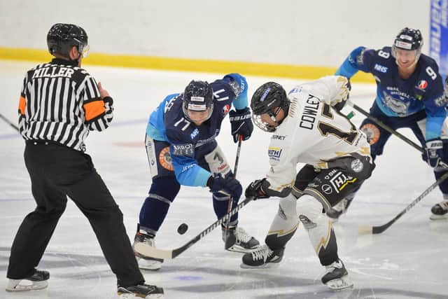 JUST SEVENTEEN: Sheffield Steeldogs' Jason Hewitt faces offagainst Milton Keynes' Russ Cowley in the final 'Streaming Series' game at Ice Sheffield on Sunday night. Picture courtesy of Dean Woolley.
