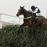 Dido Harding's Walk In The Mill heads the entries for the Becher Chase this Saturday.