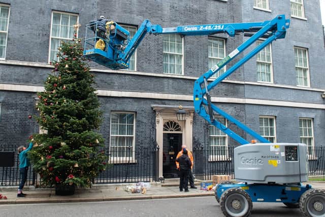 A Christmas tree is put in place outside 10 Downing Street.