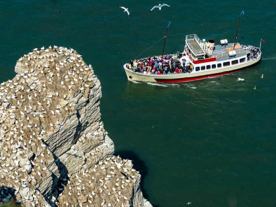 The famous Yorkshire Belle, packed with tourists, visiting the seabird colony at Bempton. Picture: James Hardisty