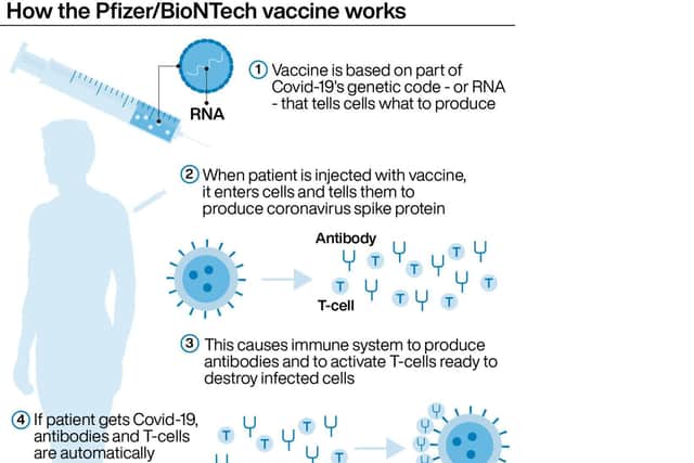 How the Pfizer/BioNTech vaccine work (Image: PA Graphics)