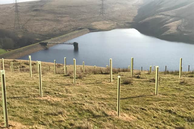 Tree planting at Gorpley Reservoirin partnership with Woodland Trust. The latest survey by Yorkshire Water was part of an initiative to support National Tree Week, which runs until 6 December and marks the start of the winter tree planting season.Photo credit: Yorkshire Water