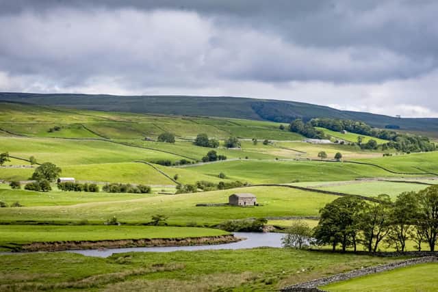 The River Wharfe at Wensleydale, Hawes, in the Yorkshire Dales. Picture: Marisa Cashill.