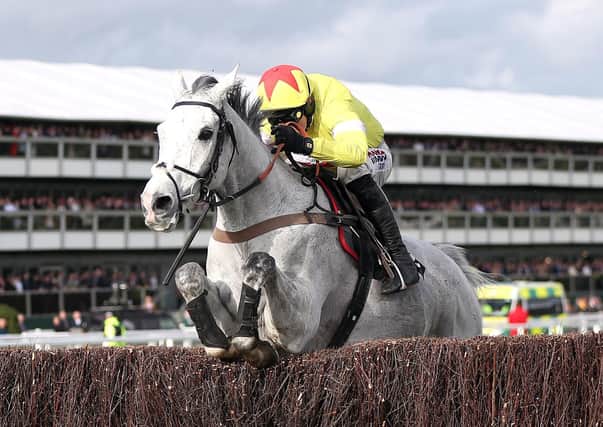Harry Skelton and Politologue clear the last in the 2020 Queen Mother Champion Chase.