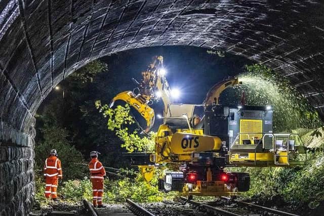Renew workers clear fallen branches on a railway line