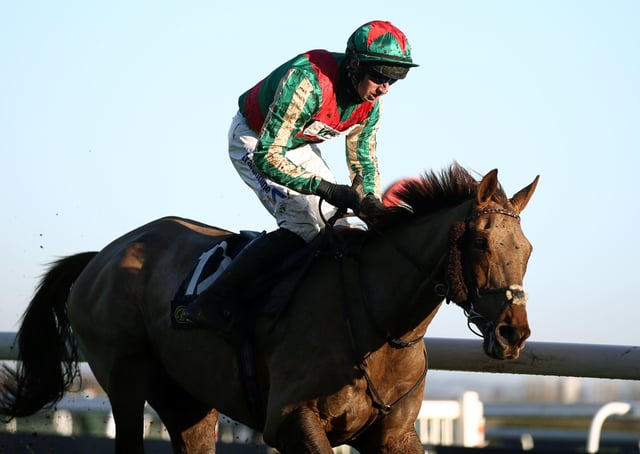 Grand National is next step for Vieux Lion Rouge and ambitious ...