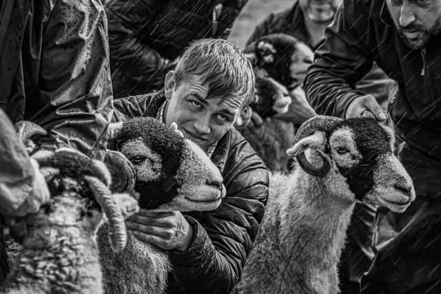 Neil McNair's evocative image of a Swaledale sheep class at Muker Show