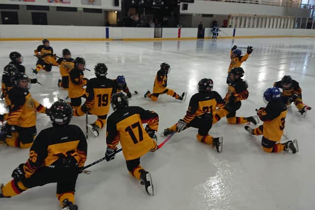 Junior ice hockey throughout the UK would come under one roof if today's vote by EIHA members accepts the proposal for a single giverning body.