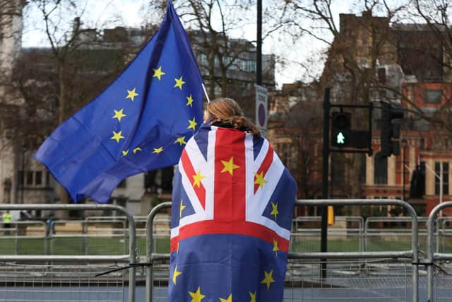 A pro-European Union protester outside the Houses of Parliament in London this week.