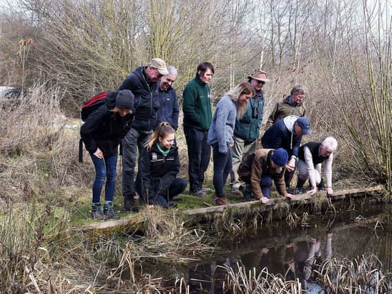 The Yorkshire TOAD project will help amphibians and rebuilt wildlife habitats