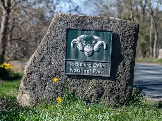 Just 4.1 per cent of the Yorkshire Dales National Park is covered in trees