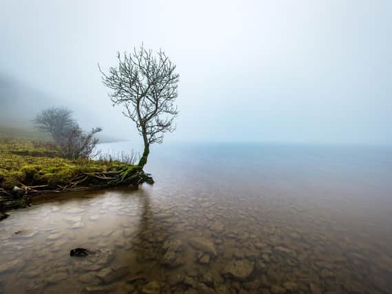 A tree in the mist on the banks of Malham Tarn. Technical Details:  Nikon D4, 17-24mm Nikkor, 30sec @f8, 100iso,  6 stop ND filter.  Picture Bruce Rollinson