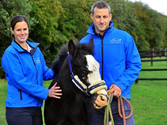 Surgeons at the North Yorkshire Equine Clinic worked with the specialist burns team at Pinderfields Hospital and used fish skins to help her skin regrow.