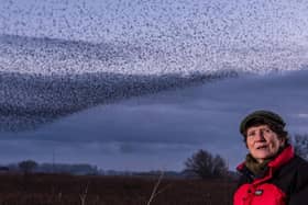 Jo Webb, who has recently become chair of the Yorkshire Wildlife Trust. Photo: Ernesto Rogata