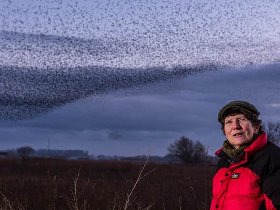 Jo Webb, who has recently become chair of the Yorkshire Wildlife Trust. Photo: Ernesto Rogata