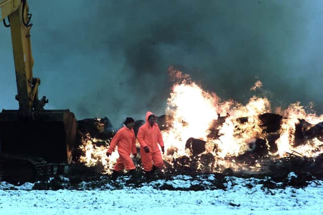 A fire burning on a farm in Heddon-on-the Wall in Northumberland 12 hours after the start of the incineration of animals affected by foot and mouth.