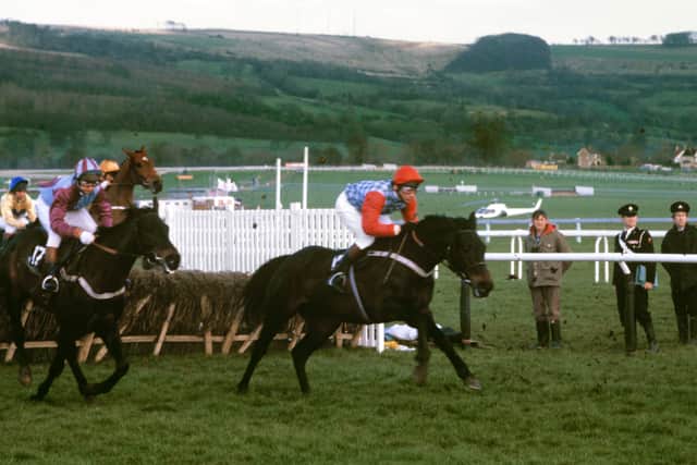 This was John Francome winning the 1981 Champion Hurdle on Peter Easterby's Sea Pigeon.