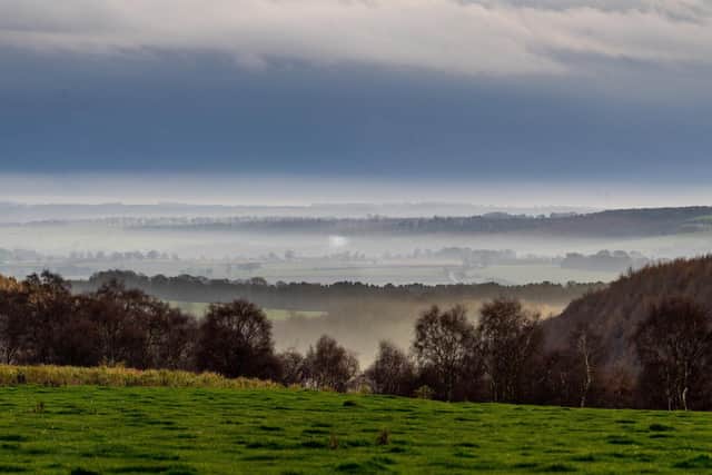 Picture James Hardisty. A view across towards Riccal Dale Wood near Helmsley, North Yorkshire.