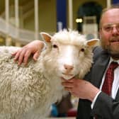 Professor Ian Wilmut of the Roslin Institute at Edinburgh University with Dolly, the world s first cloned sheep.