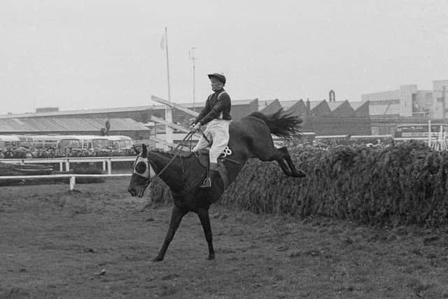 Foinavon and John Buckingham clear the final fence of the 1967 Grand National in solitary isolation, a feat recorded in Sean Magee's new A-Z compendium of famous horses.
