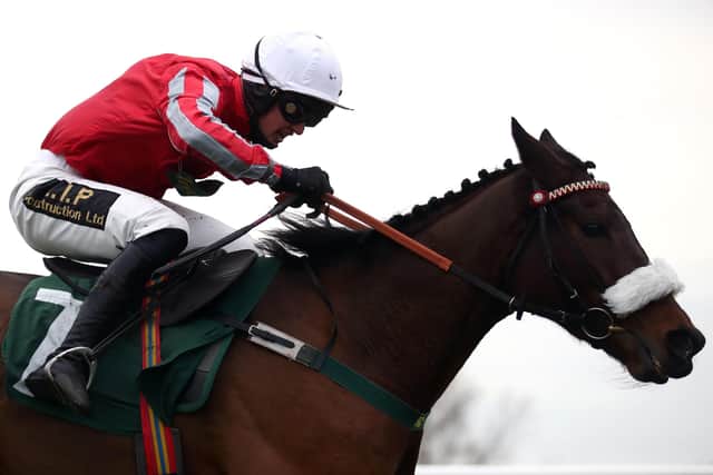 Jockey Tommy Dowson was an impressive winner on South Terrace at Catterick before suffering a heavy fall in a subsequent race and being stood down.