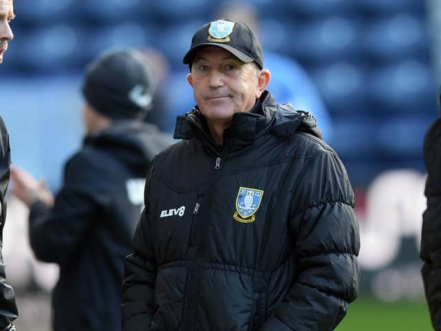 GONE: Tony Pulis has been sacked by Sheffield Wednesday chairman, Dejphon Chansiri after just 10 games in charge.  Picture: Steve Ellis