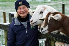 Mary Chapman began rescuing animals in 2002