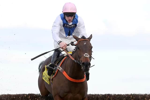 Ruth Jefferson is weighing up options for King George second Waiting Patiently after the Brian Hughers-ridden horse just failed to catch Frodon.