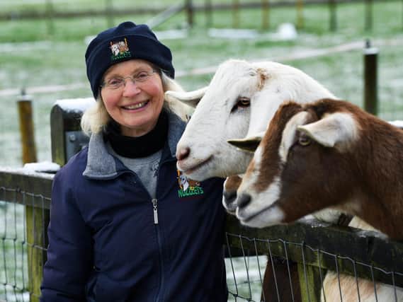 Mary Chapman started rescuing animals in 2002