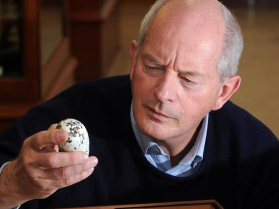 Prof Tim Birkhead, pictured previously with Guillemot eggs at the Alfred Denny Museum at Sheffield University.