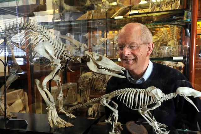 Prof Tim Birkhead, pictured previously at the Alfred Denny Museum at Sheffield University.