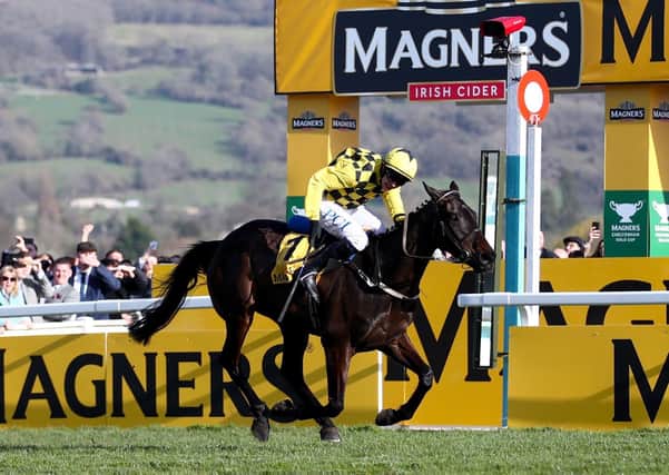 REPEAT SHOW: Al Boum Photo and Paul Townend win the Magners Cheltenham Gold Cup Chase and are looking to win a third New Year's Day Chase at Tramore. Picture: Tim Goode/PA