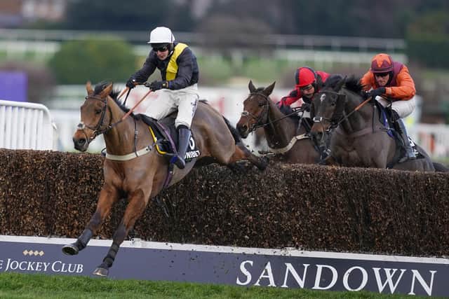 Ryan Mania and Seeyouatmidnight clear the last in Sandown's Veterans Chase.