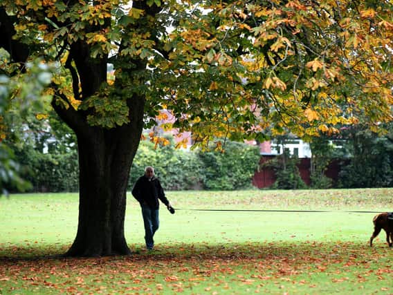A York field is being turned into a dog walking site, where owners will pay to walk their pets