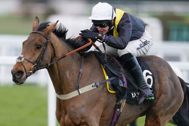 Rolling back the years: Seeyouatmidnight ridden by Ryan Mania clear the last to win The Unibet Veterans' Handicap Chase at Sandown. Picture: Alan Crowhurst/PA Wire.