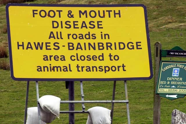 Farming was left devastated by the foot and mouth epidemic in 2001.