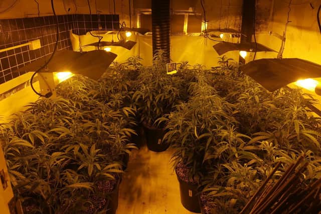 Half a million pounds worth of cannabis has been discovered by police at the former HSBC bank in Withernsea, East Yorkshire.