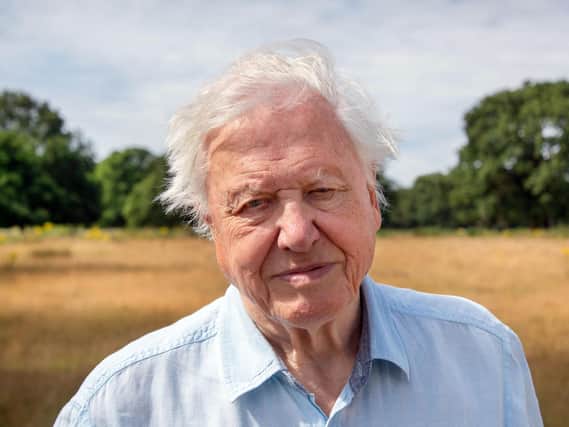 Sir David Attenborough narrates A Perfect Planet. Picture: PA Photo/Nick Shoolingin-Jordan