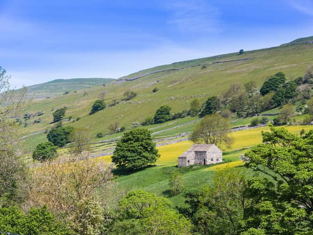 Library image of Swaledale in North Yorkshire,