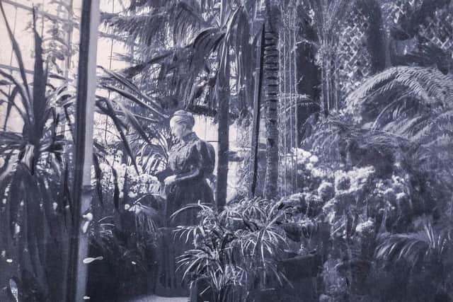 Woodend once had a glasshouse filled with palms