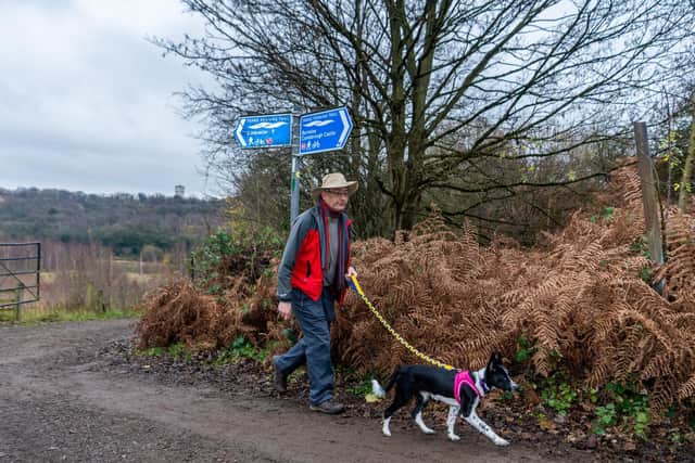 Andrew White, presenter of Walks around Britain, as he and his new dog Magic set's off on one of his favourite walks over and around Conisbrough viaduct, Doncaster. Image: James Hardisty