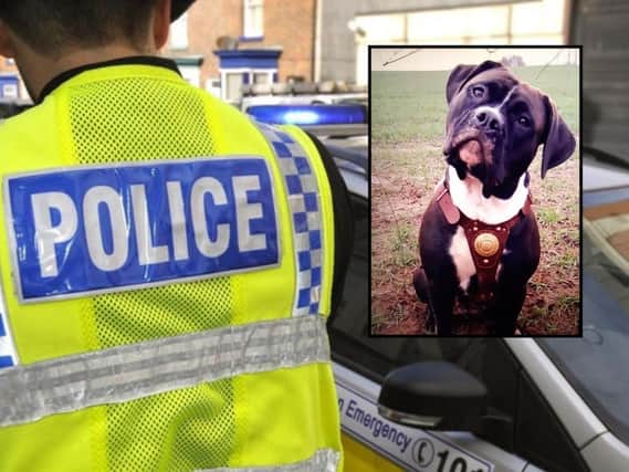 Can you help police track down Bella?