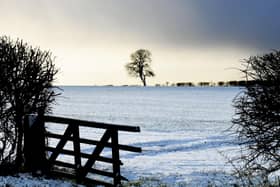 Snow covered fields around a lone tree under a heavy sky  at the top of Garrowby Hill on the Yorkshire Wolds .  Picture: Gary Longbottom