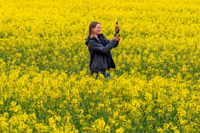 Jennie Palmer of North Breckenholme Farm, Thixendale, who is schooling two young children alongside marketing for the families Yorkshire Rapeseed Oil business.
Picture James Hardisty