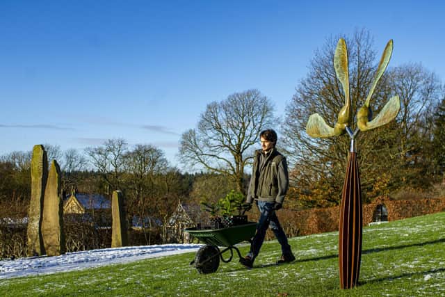 Student Will Merrison moving monkey puzzle trees for planting in RHS Garden Harlow Carr in Harrogate. Picture Tony Johnson