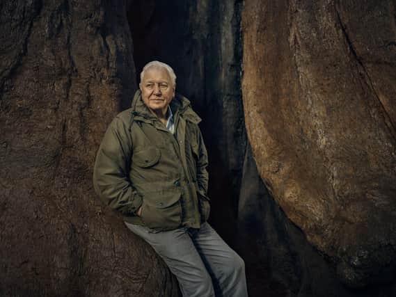 Sir David Attenborough in The Green Planet. Photographer: Sam Barker for BBC.